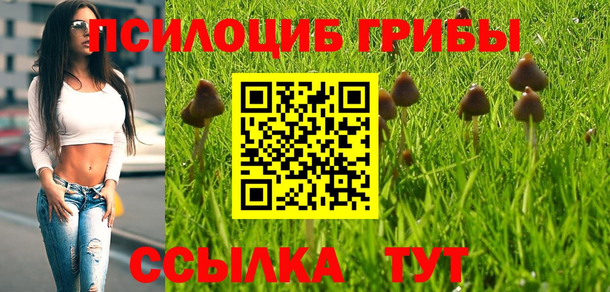 Галлюциногенные грибы MAGIC MUSHROOMS  Псилоцибиновые грибы мухоморы  Коркино  Вход с VPN 