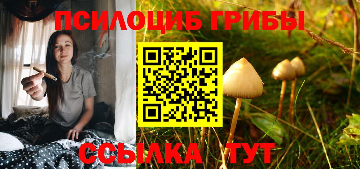 Псилоцибиновые грибы MAGIC MUSHROOMS Коркино